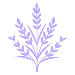 Illustration of a lavender colored plant with leaves arranged symmetrically on a white background