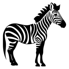 Illustration of a standing zebra with black and white stripes in a side view on a white background