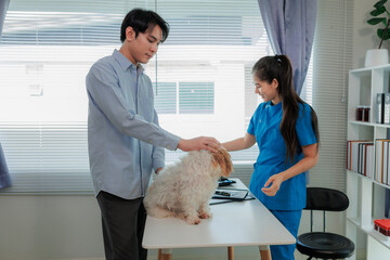 Dog owner visiting vet clinic for pet health consultation and vaccination, symbol of pet wellness...