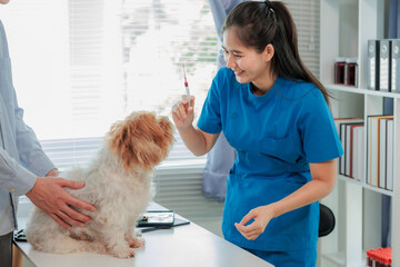 Dog owner visiting vet clinic for pet health consultation and vaccination, symbol of pet wellness...