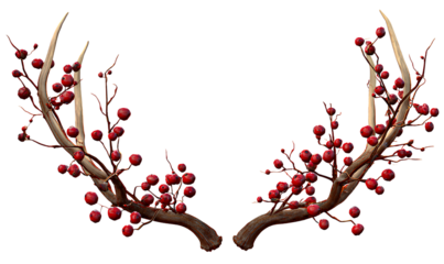 raster image of deer antlers with red berries on a transparent background.
