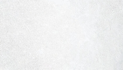 Blank White Texture Background A Versatile Textured Surface for Various Designs