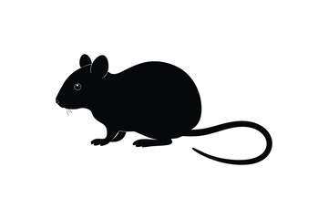 Black silhouette of a mouse on white background rodent