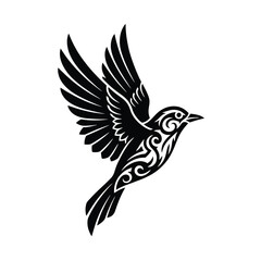 bird of prey