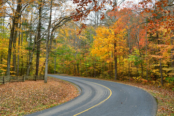 Rural road in Autumn Fall Season in the Shenandoah Valley Blue Ridge Mountains Virginia George Washington and Jefferson National Forest