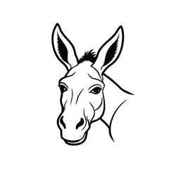 Donkey Head Line Art Illustration animal mammal