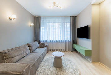 Modern Living Room Interior with Comfortable Sofa and Elegant Decor