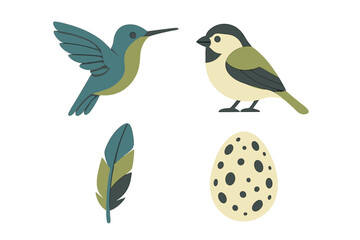 Stylized hummingbird and songbird with feather and speckled egg for spring and nature themed designs and concepts