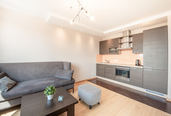 Modern Open Concept Living Room and Kitchen Interior with Minimalist Design