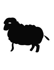 vector illustration of sheep black and white sheep