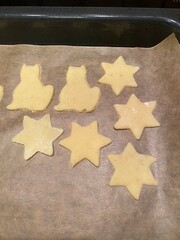 Homemade butter cookies on a baking sheet