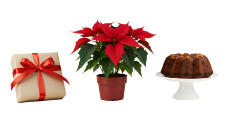 Christmas poinsettia plant with wrapped gift and fruitcake on cake stand, festive holiday decoration and traditional seasonal setup perfect for Christmas and winter holidays