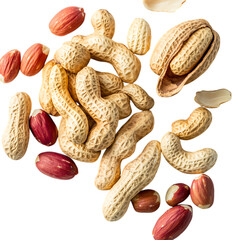 Roasted Peanuts in Shells and Shelled Peanuts 