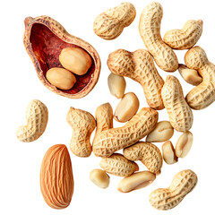 Roasted Peanuts in Shells and Shelled Peanuts 