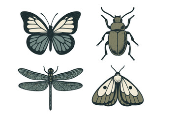 Detailed stylized insect collection featuring butterfly beetle dragonfly and moth in a vintage color palette