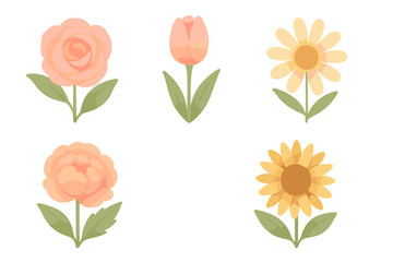 Delicate watercolor style pastel blooming flowers including rose tulip daisy peony and sunflower