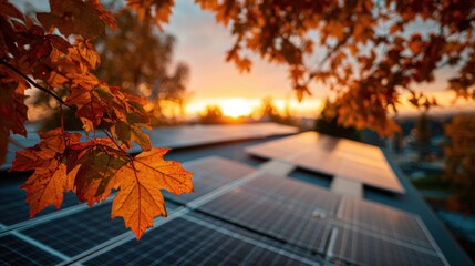 autumn leaves sunset solar panels
