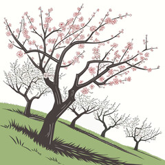 Stylized illustration of blooming cherry blossom trees on a grassy hill in spring