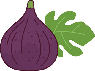 Fresh fig fruit with green leaves vector illustration for healthy food designs