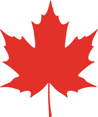 Red maple leaf vector illustration scalable eps for canadian symbolism and autumn graphics
