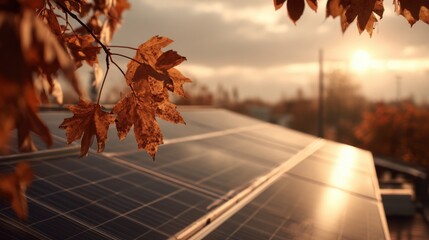autumn leaves solar panel sunset