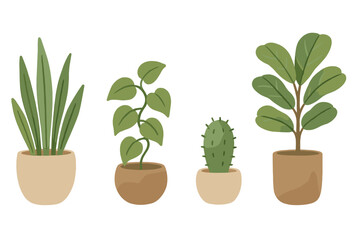 Variety of indoor plants in simple pots displayed together in a minimalist design setting