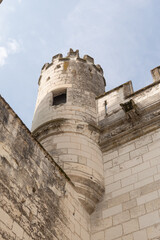 Cit&eacute; Royale de Loches, centre Val de Loire, France, Europe