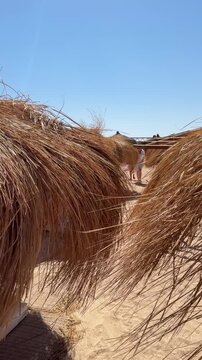 beach with thatched roofs that create a cozy atmosphere.The sand on the beach is light, giving a sense of cleanliness and freshness.he beach is a perfect place to unwind and escape the hustle and bust
