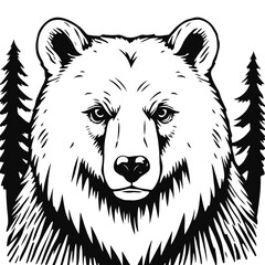Bear illustration vector, wild animal drawing, big predator design, forest mammal sketch, grizzly graphic art