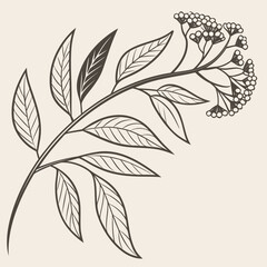 Noise Grain Minimal Overlay Effect 1