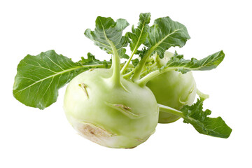 Organic Kohlrabi Bulb with Leaves - German Turnip Studio Photography