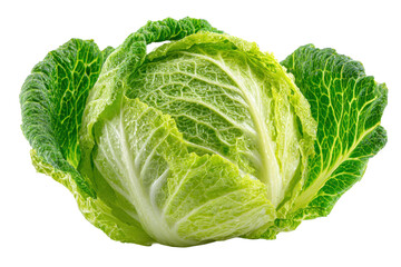 Obraz premium Organic Green Cabbage Head - Raw Leafy Vegetable Studio Photography