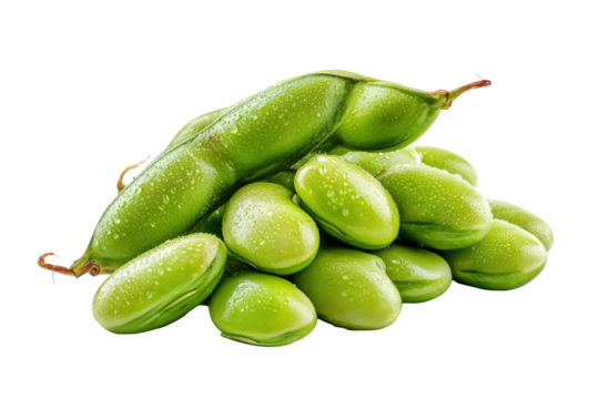 Organic Lima Beans - Raw Butter Beans Studio Photography