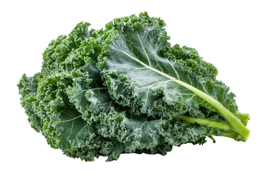 Fresh Kale Leaves Isolated on White Background