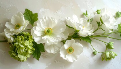 Delicate white anemones and sprigs of greenery on a light background