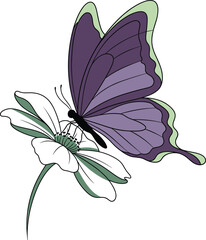 Elegant Vector Illustration of a Purple and Green Butterfly Resting on a White Flower
