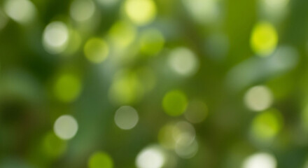 Fototapeta premium Abstract green bokeh background with blurred lights and soft focus, creating a dreamy and ethereal atmosphere for nature lovers