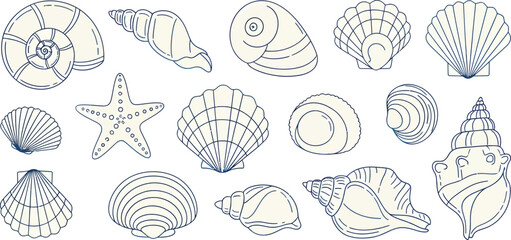 Sea Shells and Starfish Vector Outline Collection