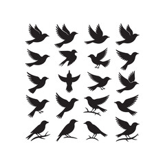 Obraz premium Black bird silhouette vector collection with flying and perched designs, wildlife animal icons, nature creative symbols, abstract minimal artwork for eco environment template illustration