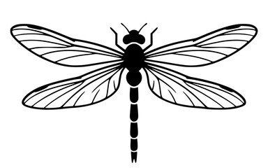 Stylized dragonfly with detailed wings, insect, nature, summer, flying, delicate