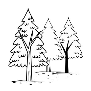 vector illustration of a winter tree