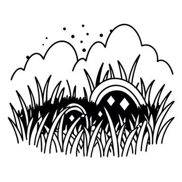 grass and flowers