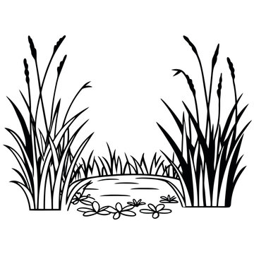 grass