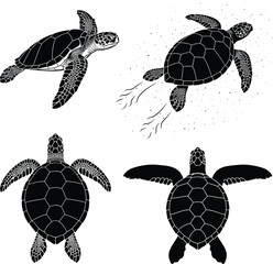 Vector Illustration Set of Sea Turtles in Different Swimming Poses with Detailed Shell Patterns