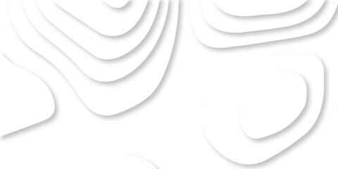 Abstract Luxury diamond creative topography map background vector natural shadow papercut web topography map spiral line. white light dynamic smooth cover origami papercut texture background.	

