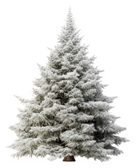 PNG Christmas tree christmas plant white.