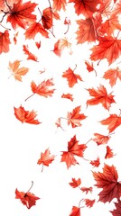 Autumnal Cascade Vibrant Red Maple Leaves Falling on a Clean White Background for Seasonal Design