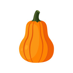 Butternut style pumpkin isolated orange vegetable flat vector illustration