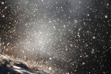 Captivating Dance of Fallig Snowflakes: Embrace the ranquil Beauty and Serene agic of a Winter Wonderlan Under Fluffy White Crystas Gently Cascading from th Sky