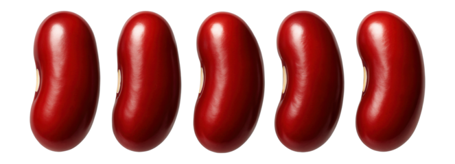 Five red kidney beans arranged neatly.
